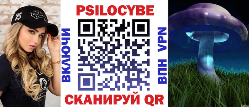 Псилоцибиновые грибы Magic Shrooms  Купить закладки  Карачев 